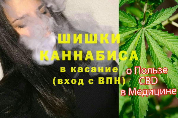 МДПВ Алексин
